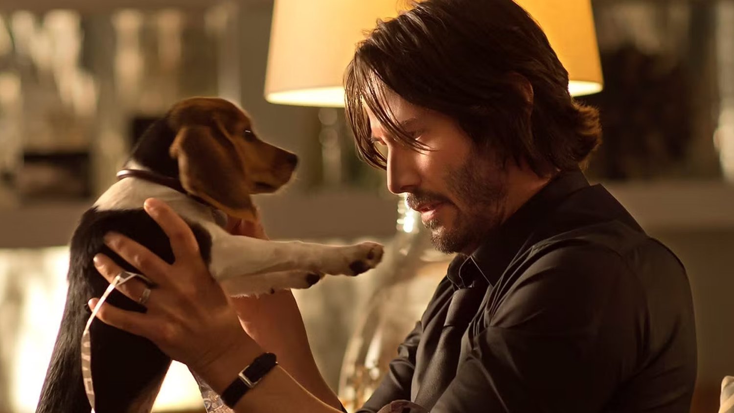 john wick puppy memories