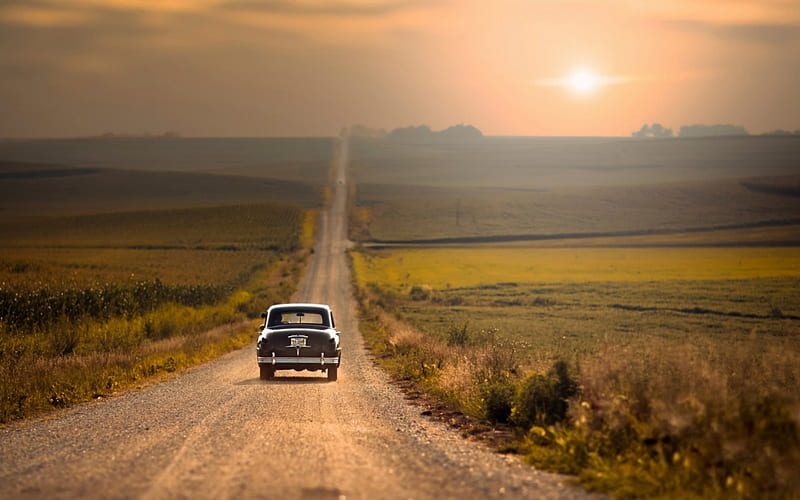 vintage cars on a road