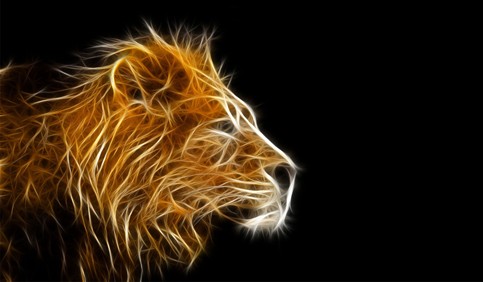 3d lion painting wallpaper