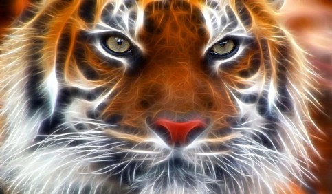 3d tiger face