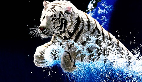 animated 3d tiger