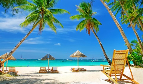 awesome hawaii beach trees