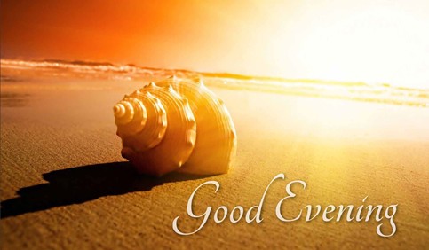 good evening wish sea shell