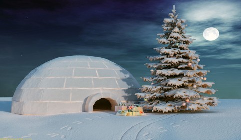 igloo night christimas tree