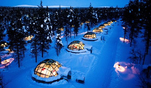 igloo pine trees nature winter