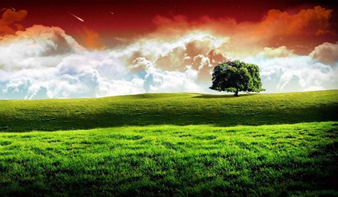 india flag nature background