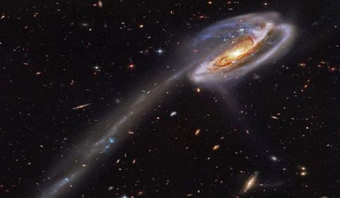 tadpole galaxy